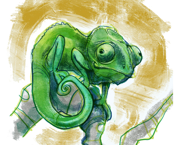 Chameleons not cars (for Betsy) | The Story Elves - Help with writing