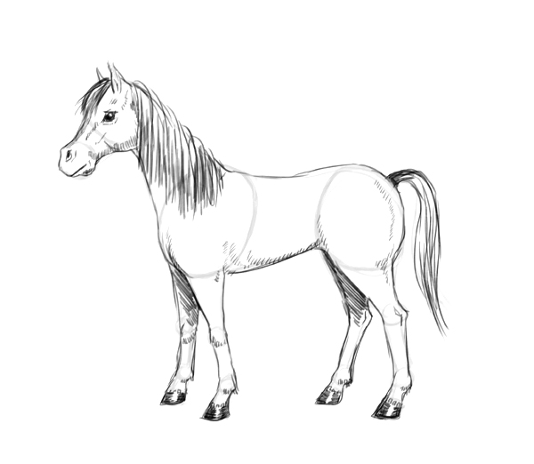 How to draw a horse | The Story Elves - Help with writing, editing, illustrating and designing your own stories